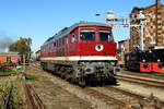 Am 13.10.2018 fuhr die 132 088-6 von der SRS - Salzland Rail Service GmbH, in der Fahrzeugparade in Wittenberge . 