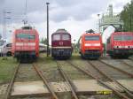 101038, 754101, 152045 und 155001 bei der Fahrzeugausstellung am 28.08.2004 in Lutherstadt wittenberg.