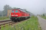 Am 8.Juli 2012 war 234 278 mit dem stark verspteten EN  Jan Kiepura  in Mncheberg (Mark) auf dem Weg Richtung Kstrin.