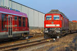 Lok 241 353 auf dem Bahnhof Torgelow vor einem Holzzug und links ist der einfahrende DB Lint 41 (Szczecin) mit Spiegelung der EBS Lok zu sehen.