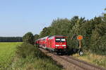 245 014 war am 3. September 2021 bei Hörlkofen in Richtung Mühldorf unterwegs.