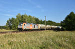 HVLE mit der 246 001-2 in Front und Getreidewaggons der EVS im Schlepp. 3km östlich von Büchen, 16.08.2018.