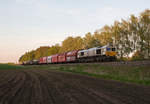 Mit einem gemischten Güterzug von Mühldorf nach München Nord Rbf wurde 247 038-3 am Rande Poings angetroffen.
