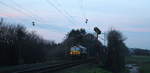 Die Class 66 266 035-5 von Railtraxx kommt als Lokzug von Aachen-West nach Montzen(Belgien) und fährt die Gemmenicher-Rampe hoch.