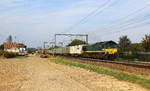 Die Class 66 266 031-4 von Railtraxx kommt mit einem Containerzug aus Genk-Haven(B) nach Köln-Eifeltor(D) und kommt aus Richtung Hasselt(B) und fährt durch s'Herenelderen(B) in Richtung Tongeren(B),Vise(B),Montzen(B),Aachen(D). 
Aufgenommen an einem Weg in s'Herenelderen(B). 
Bei Sommerwetter am Nachmittag vom 16.8.2018. 