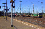 Die Class 66 266 031-4 von Railtraxx fährt mit einem Schinenzug aus Österreich nach Belgien bei der Ausfahrt aus Aachen-West in Richtung Montzen/Belgien. 
Aufgenommen vom Bahnsteig in Aachen-West.
Bei Sommerwetter am Nachmittag vom 26.9.2018.