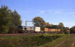 Am Ende eines Containerzuges von Antwerpen-Krommenhoek(B) nach Aachen-West(D) fährt die Class 66 DE6309 von Crossrail mit.
Aufgenommen in Lummen-Linkhout(B). 
Bei schönem Herbstwetter am Mittag vom 13.10.2018. 