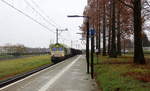 Die Class 66 6605 von Captrain kommt mit viel Dieselpower durch Geleen-Lutterade(NL) mit einem langen Kohlenzug aus Born(NL) nach Bressoux(B)/Bettembourg(L) und fährt in Richtung