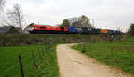 Die Class 66 DE6310  Griet  von Crossrail kommt mit viel Dieselpower die Gemmenicher-Rampe hochgefahren aus Richtung Aachen-West mit einem GTS-Containerzug aus Piacenza(I) nach Zeebrugge-Ramskapelle(B) und fährt gleich in den Gemmenicher-Tunnel hinein. 
Aufgenommen von einem Weg in Reinartzkehl. 
Bei Wolken am Kalten Nachmittag vom 5.4.2019.