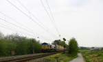 Die Class 66 PB20 von Railtraxx BVBA  kommt mit viel Dieselpower die Gemmenicher-Rampe hochgefahren aus Richtung Aachen-West in Richtung Montzen/Belgien mit einem langen KLV-Containerzug aus Frankfurt-Höchstadt am Main(D) nach Genk-Goederen(B).
Aufgenommen an der Montzenroute am Gemmenicher-Weg.
Bei Sonne und Wolken am 2.5.2015.