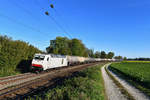 285 103 mit einem Kesselzug am 29.09.2018 bei Langenisarhofen. 