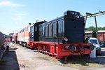 V36 107 am 14.06.2015 zusammen mit 218 137-8 während dem Sommerfest vom DB Museum in Konlenz Lützel.