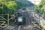 RTB Cargo V 156 (damals noch in Vossloh-Farben) // Horrem // 3. Juni 2011