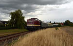 202 466 verlässt mit dem Sonderzug in die Baggerstadt Ferropolis am 25.08.18 Wörlitz Richtung Oranienbaum.