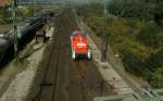 291 033 prsentiert sich in einem neu glnzendem Lack am sdlichen Ablaufberg in Maschen am 20 September 2008.