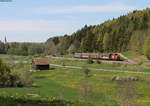 294 629-1 mit dem EK 55838 (Neustadt(Schwarzw)-Villingen(Schwarzw)) bei Löffingen 27.4.18