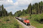 294 648-1 mit dem GC 60484 (Hausach-Rammelswiesen) bei Zollhaus 13.7.18