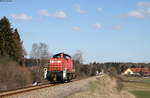 294 843-8 als T 68028 (Rammelswiesen-Villingen(Schwarzw)) bei Zollhaus 20.3.19