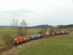 294 898 mit ihrem Gterzug von Hirschau nach Amberg in der Nhe von Godlricht am 05.02.2008. (Strecke Amberg-Schnaittenbach)