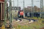 Hier kommt 294 775-2 um die abgestellte Wagengruppe zu zerlegen und anschlieend zu zustellen.
Neustadt(Wstr.) Gterabstellgruppe am 19.11.2009