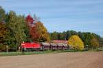 294 601 am 08.10.2010 mit Gterzug bei Hirschau. (Strecke Amberg-Schnaittenbach)