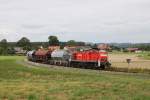 294 599 am 12.08.2011 mit der bergabe von Hirschau nach Amberg bei Godlricht.