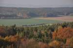 294 635 am 04.11.2011 mit Gterzug bei Godlricht (Strecke Amberg-Schnaittenbach)