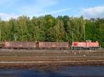 294 747-1 rangiert am 28.09.12 in Marktredwitz.