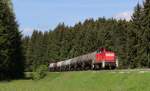 294 645-7 mit dem GC 61763 (Hausach-Rammelswiesen) bei Schwenningen 5.6.13