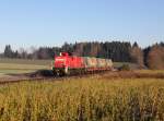 Die 294 804 mit einem Müllzug am 30.12.2013 unterwegs bei Obertrennbach.