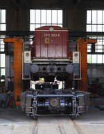 Blick durch das offene Tor in die Halle. 295 093 - 9 ausgeachst, die regenerierten Drehgestelle 
sind schon vor der Lok positioniert. 15.06.2023 12:38 Uhr. Geoposition = Fotografenstandort.