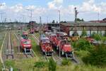 Ein rotes Sammelsurium an DB Loks stand am 6.8.21 am alten Bw Halle abgestellt. Vom ASF und Köf über V60 und Gravita bis hin zum Großdiesel Br218 und Br232 und ein paar modernen Drehstromloks der Br145 und Br101 war alles vertreten.

Halle 06.08.2021