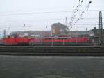 Hier mehrere Lokomotiven (1xBr 363, 2xBr 110, 1xBr 112) aufgebgelt am 6.02.2010 in Mnster(Westf) Hbf abgestellt.
