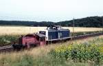 323 684 + 212 225  bei Vaihingen / Enz Nord  21.07.89