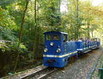 Die 399 312-8 der Parkeisenbahn Gera am 13.10.2018 mit einem Zug vom Bf Wolfsgehege zum Bf Martinsgrund.