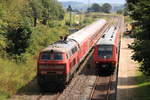 218 434 trifft auf 611 019 in Döggingen am 2.8.17