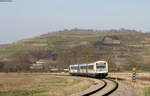 VS 204, VT 128 und VT 129 als SWE74217 (Riegel-Malterd.NE-Breisach) bei Breisach 14.3.17