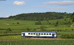 VT 127 als SWE74229 (Riegel Malterdingen NE-Breisach) bei Burkheim 4.7.16