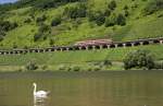 Ein Glckstreffer mit einem Schwan gelang uns am Hangviadukt Pnderich und einer RB nach Bullay.(19.7.2013)