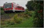 Der 928/628.555 fährt auf seinem Weg nach Friedrichshafen an einer Apfelplantage bei Nonnenhorn vorbei.