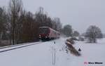 628/629 347 als RB nach Aulendorf kurz vor Wangen(Allg), am 14.01.17  