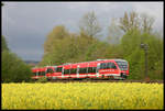 Als Leer- bzw. Überführungsfahrt kam am 27.4.2005 der DB 643070 mit einem zweiten angehängten VT über die Rollbahn nach Osnabrück. Das Foto entstand an der Landesgrenze NRW zu Niedersachsen bei Natrup Hagen.