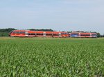 Vt 643 035 + VT 643 219 als RB 14686 auf den Weg von Münster nach Gronau.