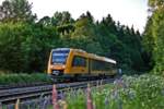 Der Dieseltriebzug Alstom Lint 41 der OPB mit der Nummerierung 1648 209 taucht im letzten Büchsenlicht auf der Fahrt nach Regensburg Hbf bei Wiesau auf.Bild vom 2.6.2017 