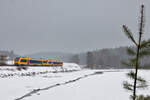 648-Doppeltraktion als RB 23 Regensburg-Marktredwitz am 06.12.2023 bei Escheldorf. 