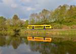 650 668 (VT 35) als RB nach Cham am 22.04.2014 bei Chamerau.