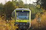 VT650.713 Agilis bei Ebersdorf am 24.10.2011.