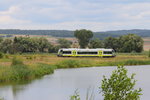 VT650.738 Agilis bei Beiersdorf/ Coburg am 11.08.2016.