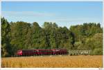 DB-Schienenbus VT798 der Passauer Eisenbahnfreunde auf der GEG-Museumsstrecke in Richtung Timelkam. 4.10.2009.