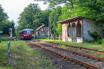 Eine Ferkeltaxi und weitere Historische Fahrzeuge kamen am Wochenende zwischen Bergen auf Rügen und Lauterbach Mole als sogenannter ZUGBRINGER der RÜBB zum Einsatz, hier ist der Triebwagen auf dem Bahnübergang in Pastitz mit dem mittlerweile windschiefen Wartehäuschen des ehm. Haltepunktes zu sehen. - 21.07.2022